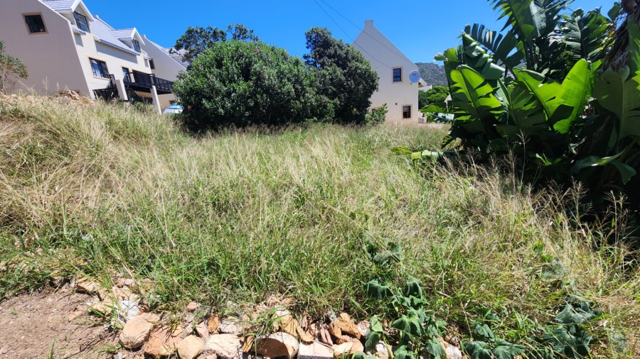 Commercial Property for Sale in Vakansieplaas Western Cape